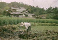 郉VJW08