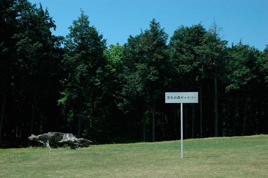 ̐XM[ 2011 ^ Woodland Gallery 2011